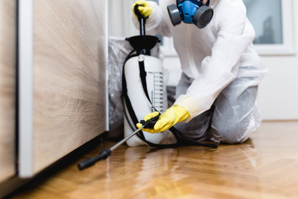 Best Mosquito Control Services  in Wyndham, VA