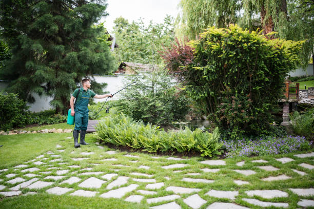 Best Commercial Pest Control Services  in Wyndham, VA