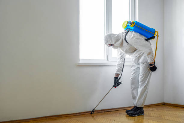 Best Termite Control Services  in Wyndham, VA