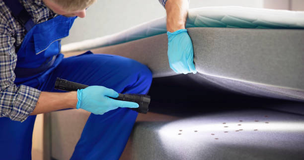 Best Commercial Pest Control Services  in Wyndham, VA