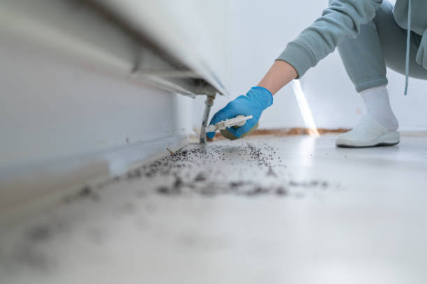 Best Rat Extermination Near Me  in Wyndham, VA