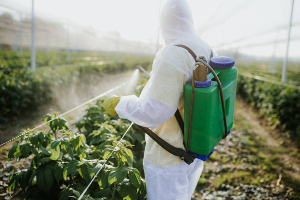 Wasp Removal Services in Wyndham, VA